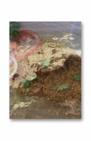 Showcasing falafel patties resting on rustic board with cilantro leaves and ocean wave overlay