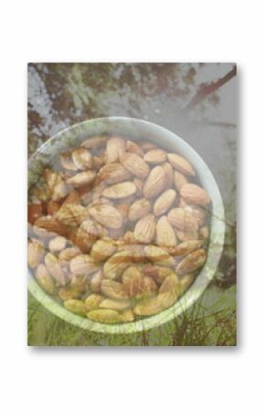 Blending white ceramic bowl of whole almonds into grassy forest clearing, double exposure effect
