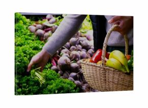 Reaching shopper grabbing lettuce in produce section with basket holding bananas, herbs, copy space