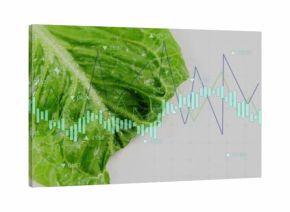Displaying lettuce leaf showing droplets in studio with overlaying candlestick bars and line graphs