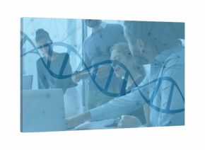 Reviewing five scientists examining documents, DNA helix in conference room, with laptop tablet