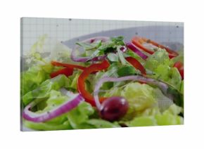 Showing white plate with salad: lettuce, onion rings, tomato wedge, olive  grid halftone overlay