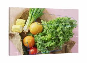 Showing burlap sack with kale, oranges, tomato, corn, scallions on pink table with wireframe grid