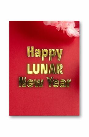 Image of happy lunar new year ext over chinese pattern on red background