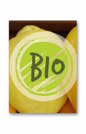 Image of bio text banner against close up of variety of fruits on wooden table