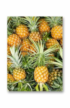 pineapple tropical fruit