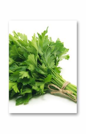 Fresh parsley