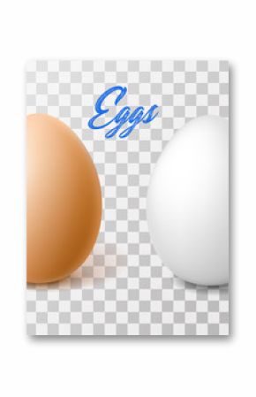 Vector realistic chicken brown egg, easter spring