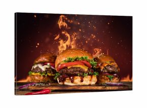 Tasty burger with french fries and fire.