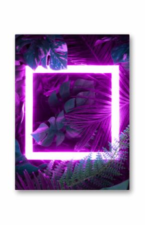 Kreatywny układ kolorów fluorescencyjnych wykonany z liści tropikalnych z kwadratowym neonem. Leżał płasko. Koncepcja natury.