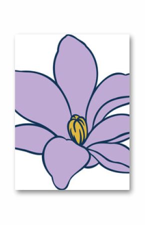 Flat vector is showing lavender bloom with 7 petals outlined navy, yellow stamen on transparent bg