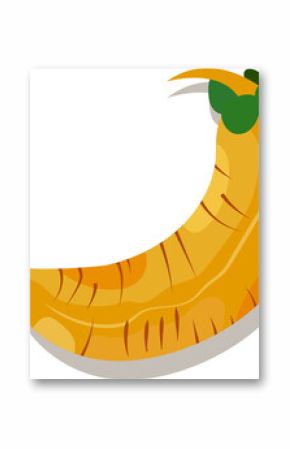 Vector is depicting curved yellow orange root vegetable with green leaves on transparent background