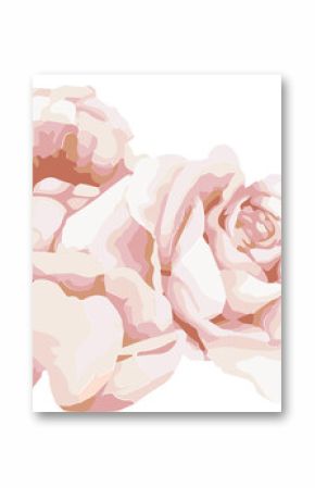 Three blooming roses are appearing in flat vector style, pastel petals, transparent background