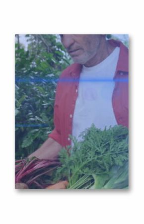 Carrying gardener in red shirt holding wooden crate with beets carrots leeks in garden, copy space