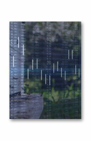 Cut tree stump with green sprout growing in forest, with candlestick chart overlay, copy space
