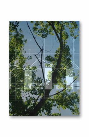 Displaying data overlay over forest canopy with bar charts line graphs gridlines and waveforms