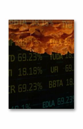 Hovering crispy fried chicken fillet over stock ticker screen, combining fast food and finance