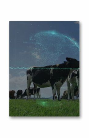 Grazing Holstein cows on green pasture, with holographic globe and turquoise waveform overlays
