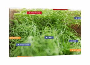Displaying fresh dill sprigs floating on wooden tray in kitchen, with digital notification icons