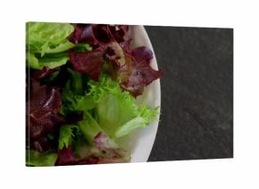 Displaying white ceramic bowl holding green and red leaf lettuce on kitchen countertop, copy space