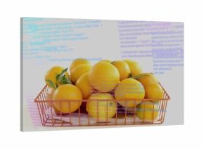 Displaying copper wire basket holding fresh oranges with leaves in bright studio, with code overlay