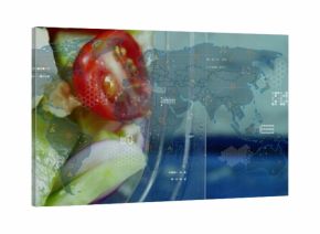 Displaying glass salad bowl on left in overlay with world map and data icons, copy space