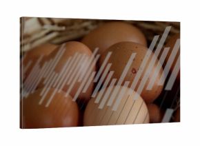 Cluster of brown eggs nestling in wicker basket in pantry, with straw lining and graphic bars