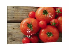 Showing cluster of ripe red tomatoes glistening in water drops on rustic counter with digital icons