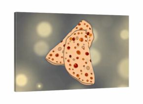 Floating two perforated crepes at angle in soft-focus gradient, with bokeh spots