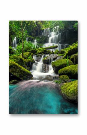 Fototapeta Piękny wodospad wśród zielonego lasu na zamówienie