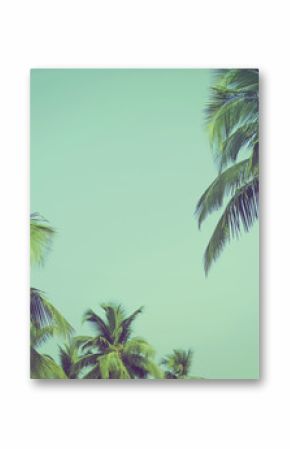 Coconut palm trees at tropical beach vintage filter
