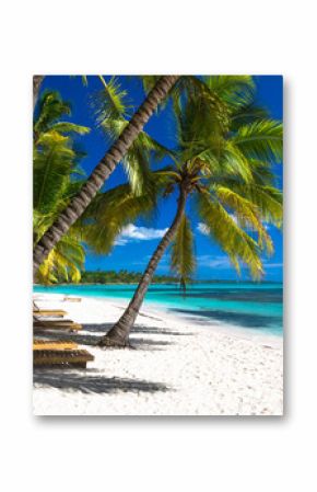 Tropikalna plaża w morzu karaibskim, Saona wyspa, republika dominikańska