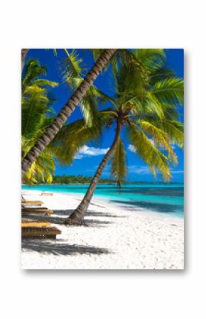 Tropical beach in caribbean sea, Saona island, Dominican Republic