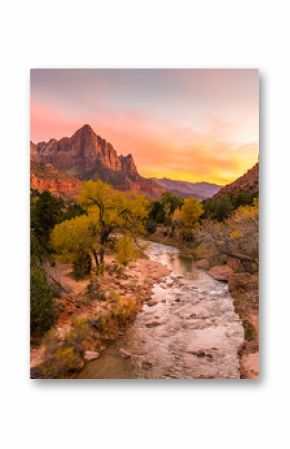 The rays of the sun illuminate red cliffs and river. Park at sunset. A beautiful pink sky. Zion National Park, Utah, USA