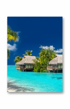 Holiday location on a tropical island with palm trees and amazing vibrant beach