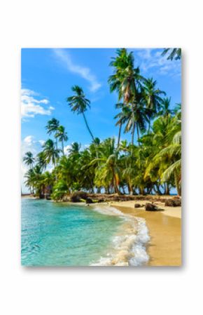 Piękna osamotniona plaża w karaibskiej San Blas wyspie, Kuna Yala, Panama. Turkusowe morze tropikalne, rajskie miejsce podróży, Ameryka Środkowa