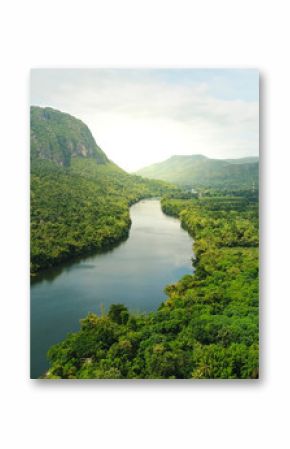 Widok z lotu ptaka rzeka w tropikalnym zielonym lesie z górami w tle