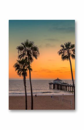 Palm trees at Manhattan Beach. Vintage processed.