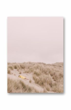 Girl in yellow dress on dunes