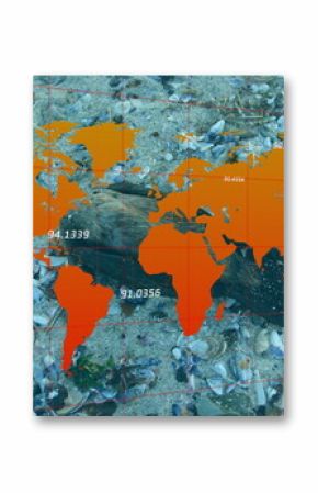Orange world map overlay covering shell beach, with bird carcasses, red gridlines, numeric labels