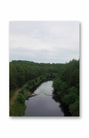 High angle view of river amidst trees
