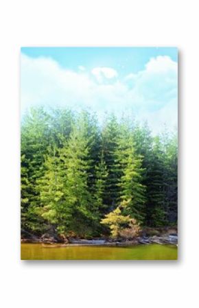 Trees growing by river against sky