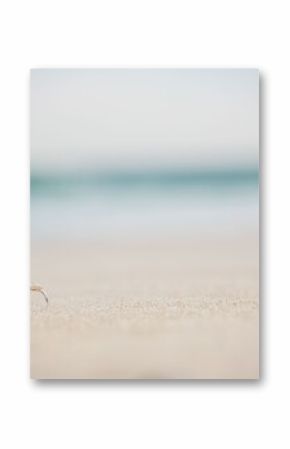 Close-up of wedding rings at beach