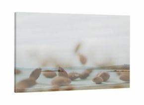 Featuring blurred seed heads swaying at sandy beach, framing calm sea and distant headlands