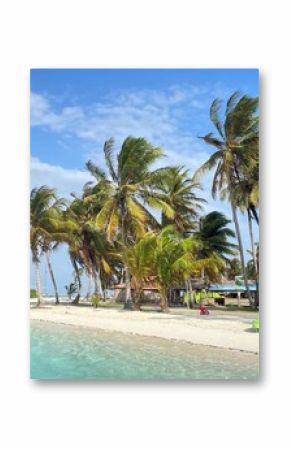 Tropical beach scene with crystal blue water and lush palm trees in the background.