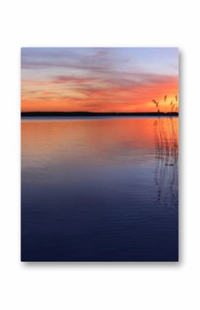 Sunset on a Lake with Reeds