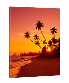 Warm sunset on tropical beach
