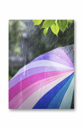 Rain falling and colorful umbrella in rainy day