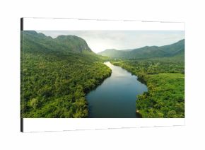 Aerial view of river in tropical green forest with mountains in background