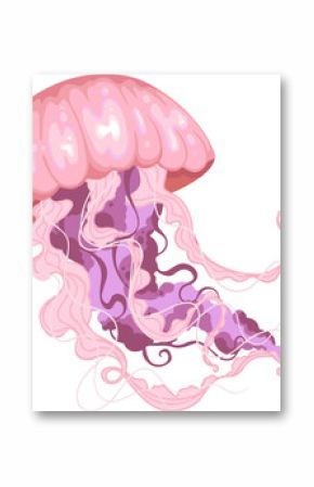 Stylized vector jellyfish is floating, pink-purple bell flowing tentacles, transparent background